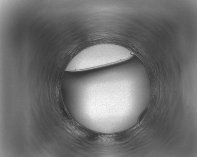 X0000059820078200510211006