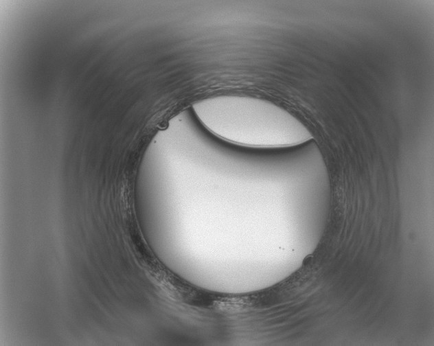 X0000059820079200510211006