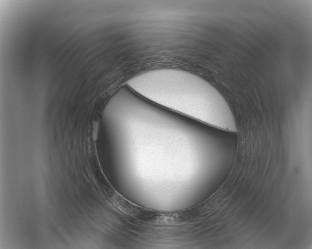 X0000059820080200510211006