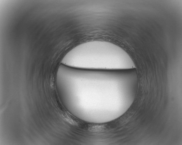 X0000059820081200510211006