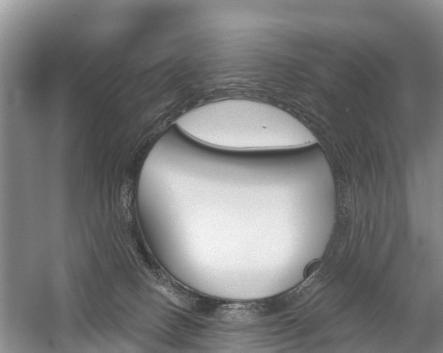 X0000059820082200510211006