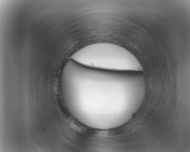 X0000059820083200510211006