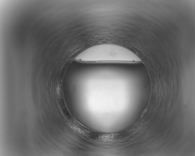 X0000059820084200510211006