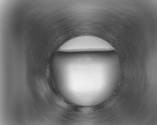 X0000059820085200510211006