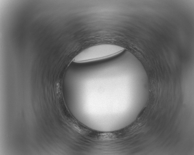 X0000059820087200510211006