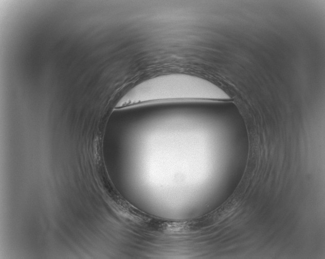 X0000059820088200510211006