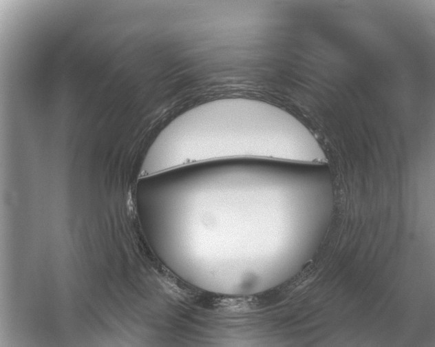 X0000059820089200510211006