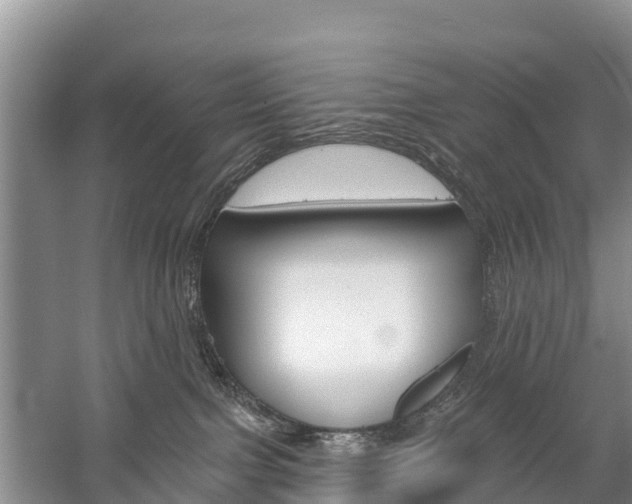 X0000059820091200510211007