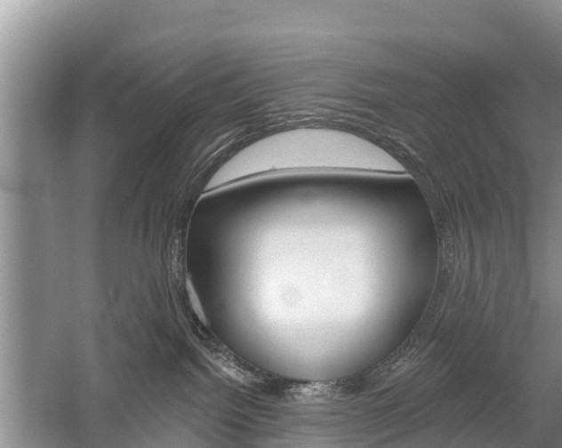 X0000059820092200510211007