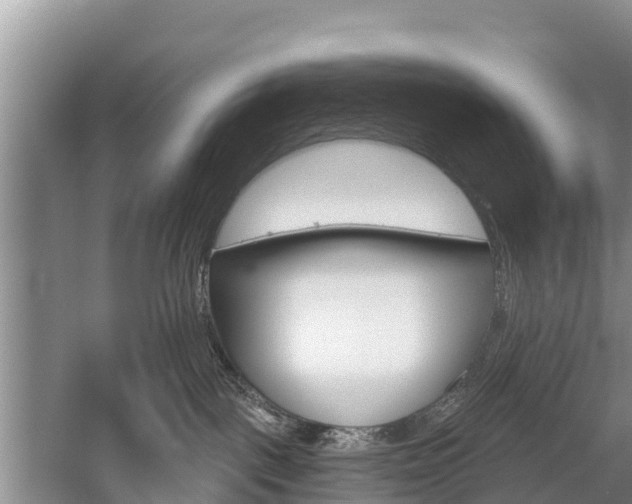 X0000059820093200510211007