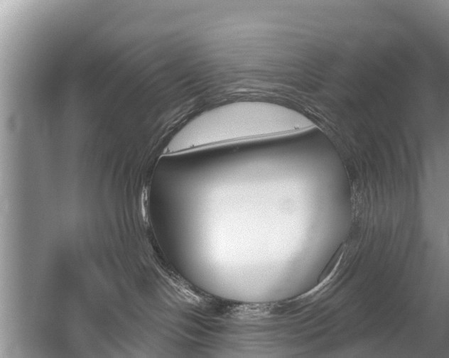 X0000059820094200510211007