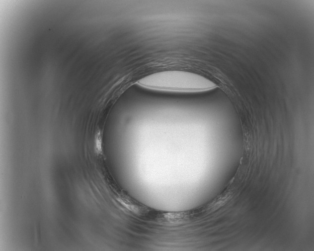 X0000059820095200510211007