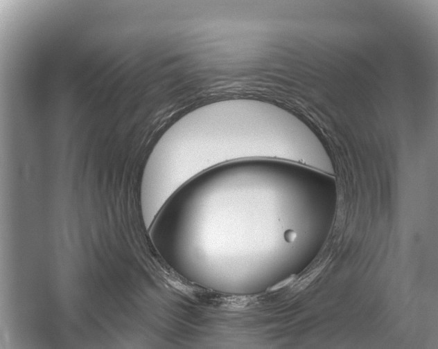 X0000059820096200510211007