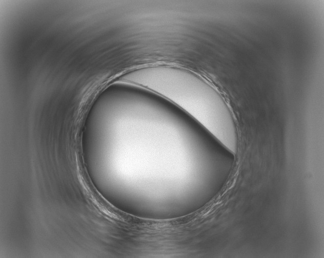 X0000059820097200510211006