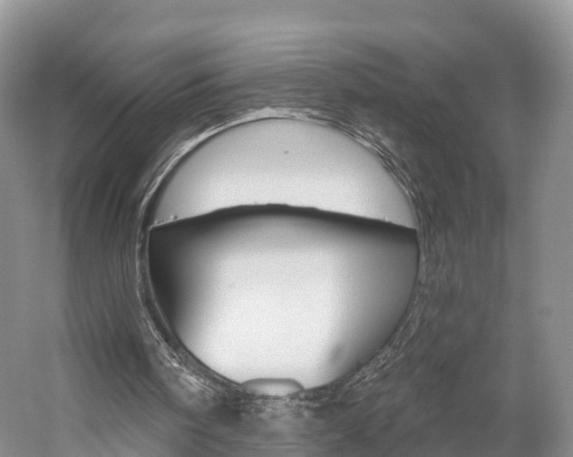 X0000059820098200510211006