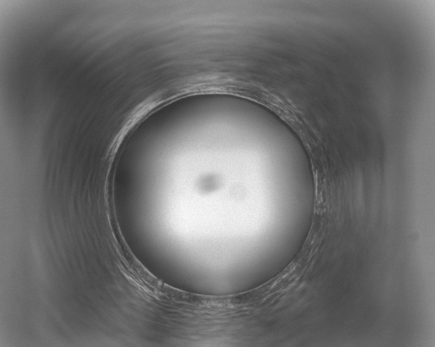 X0000059820099200510211006