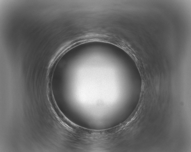 X0000059820101200510211006