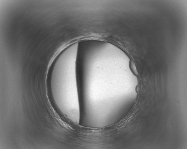 X0000059820102200510211006