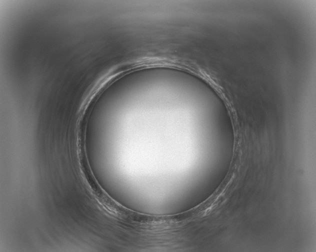 X0000059820103200510211006