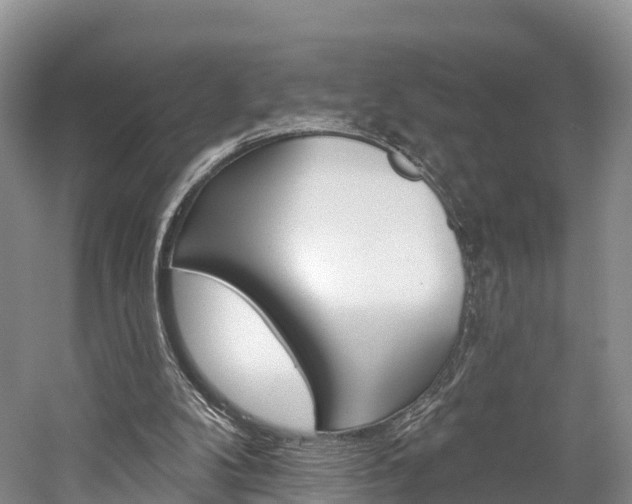 X0000059820104200510211006