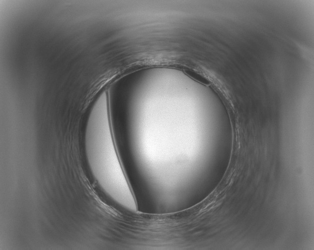 X0000059820105200510211006