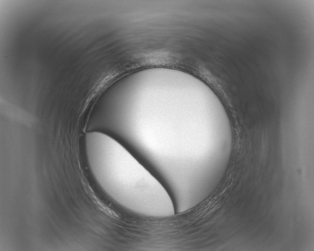 X0000059820106200510211006