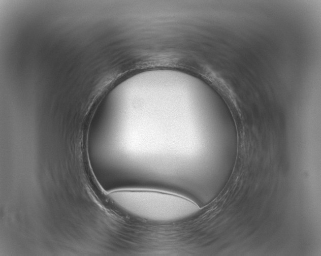 X0000059820107200510211006