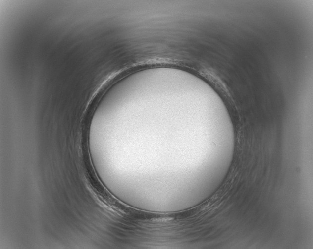 X0000059820108200510211006