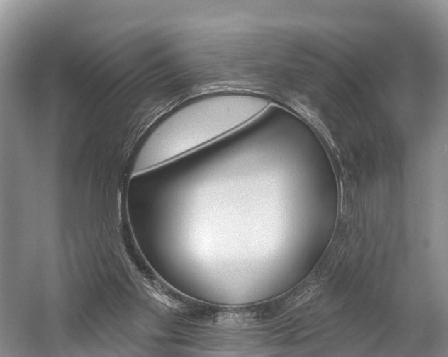 X0000059820109200510211006