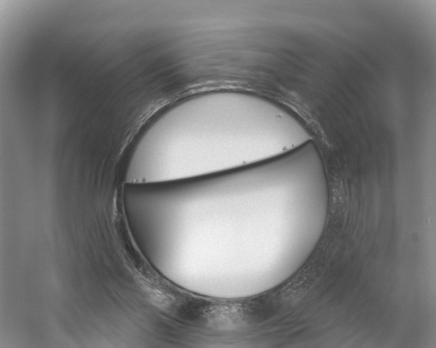 X0000059820110200510211006