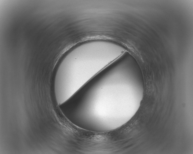 X0000059820111200510211006