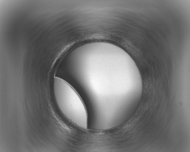 X0000059820112200510211006