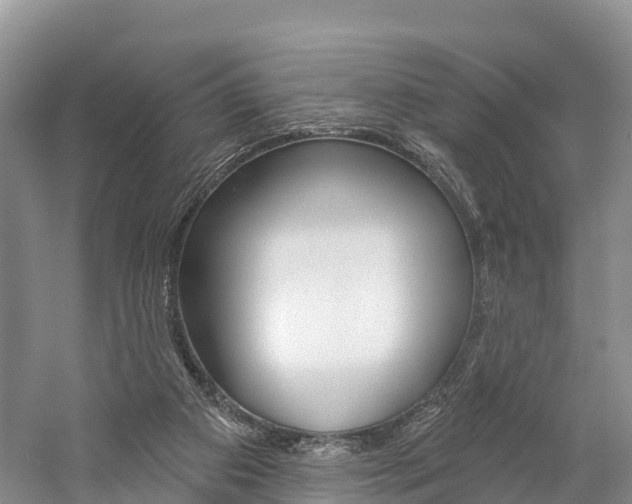 X0000059820113200510211006