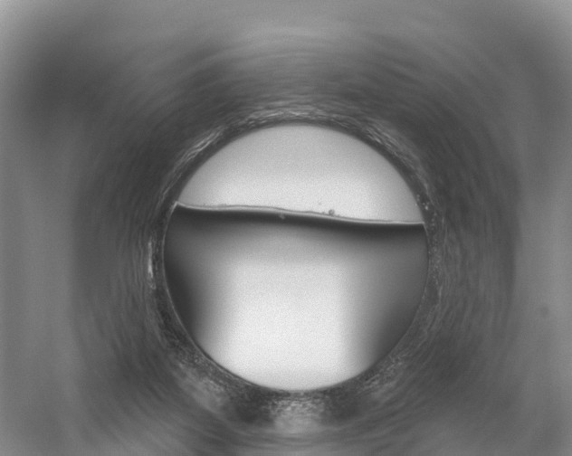 X0000059820115200510211005