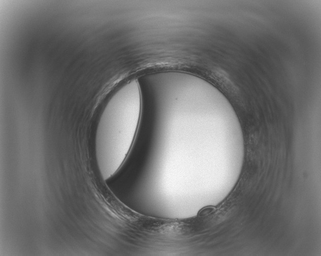 X0000059820116200510211005