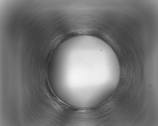 X0000059820117200510211005