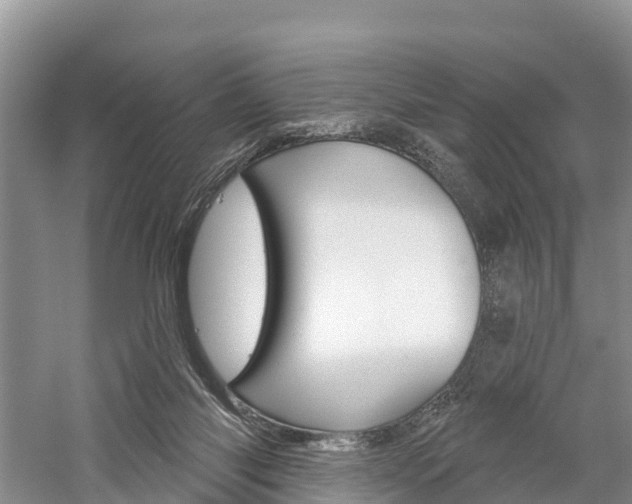 X0000059820118200510211005