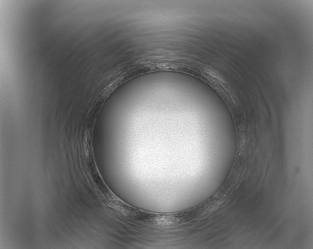 X0000059820121200510211005