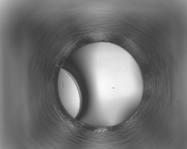 X0000059820124200510211005