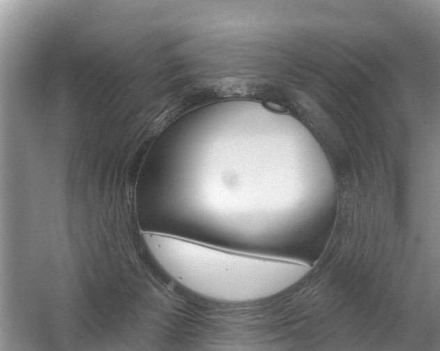 X0000059820125200510211005