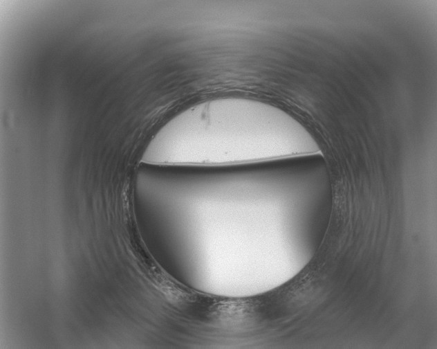 X0000059820127200510211005