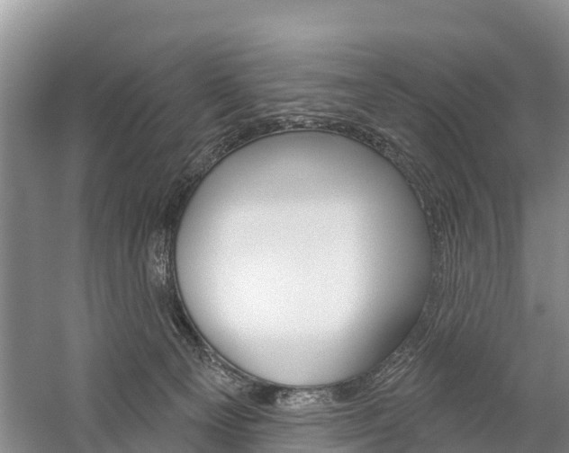 X0000059820129200510211005