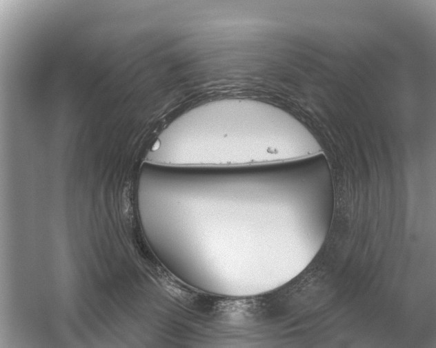 X0000059820131200510211005