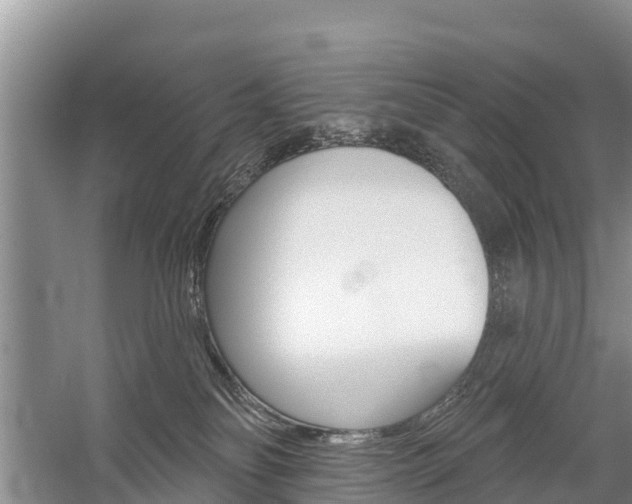 X0000059820134200510211005