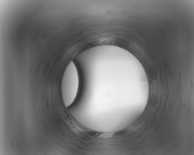 X0000059820138200510211005