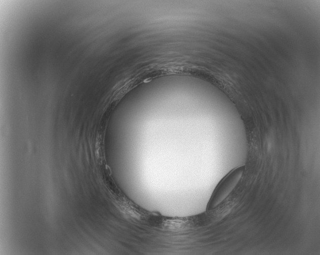 X0000059820139200510211005