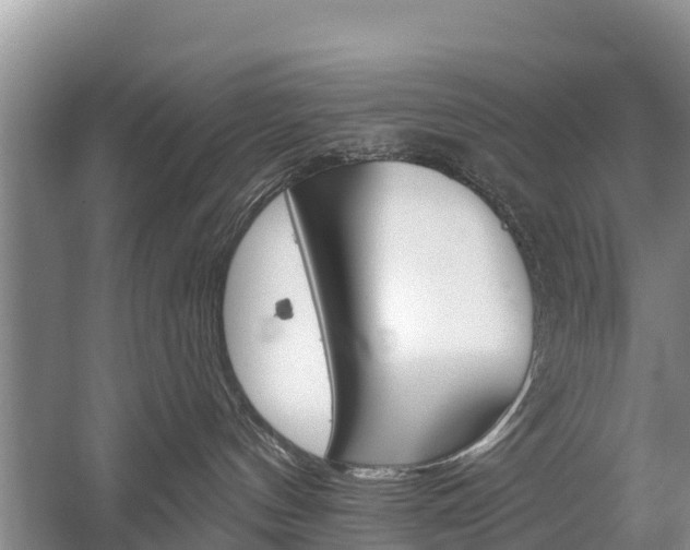 X0000059820144200510211005