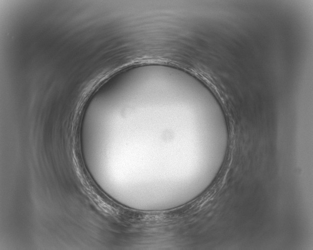 X0000059820145200510211004