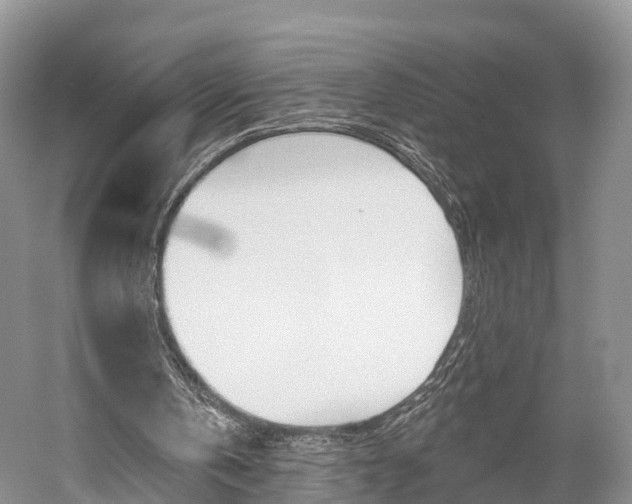 X0000059820146200510211004