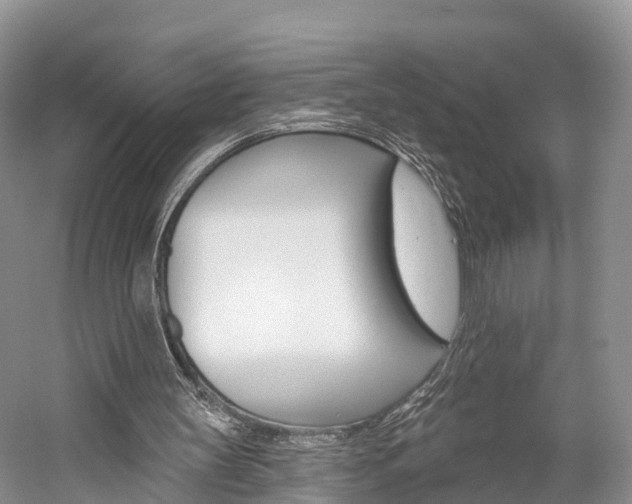 X0000059820147200510211004